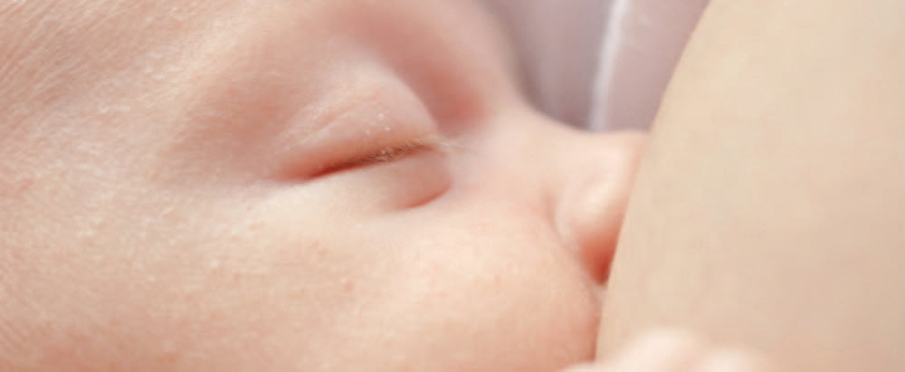 Your baby is using you as a pacifier - Donna Bruschi, IBCLC
