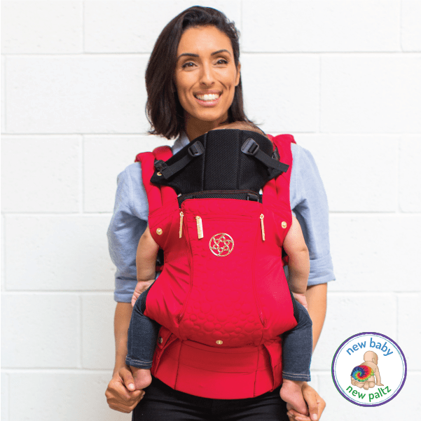 Baby Wearing and Baby Carrier Consultation - Donna Bruschi, IBCLC
