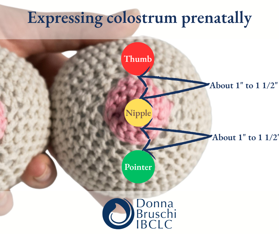 Expressing or Harvesting Prenatal Colostrum