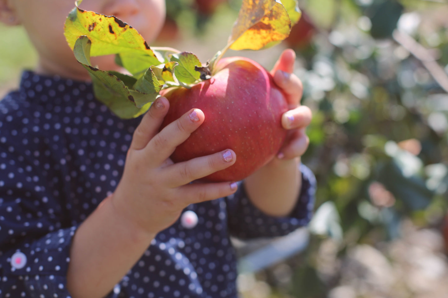 First Foods for Babies Workshop