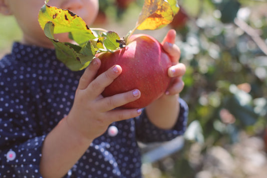 First Foods for Babies Workshop